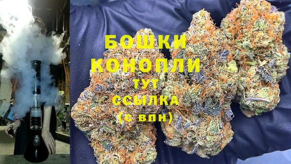 ALPHA PVP Гатчина