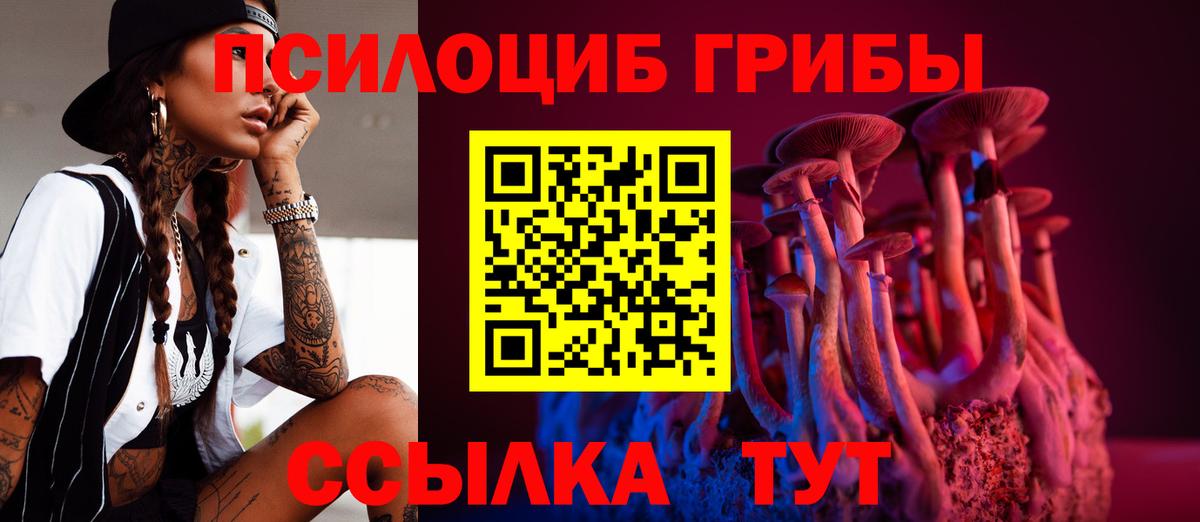 Галлюциногенные грибы прущие грибы  Псилоцибиновые грибы мицелий  Избербаш  Вход с VPN 