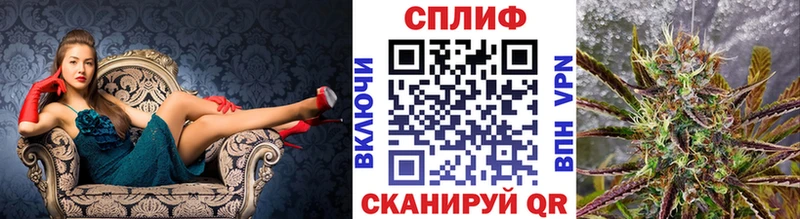 МАРИХУАНА планчик  Избербаш 